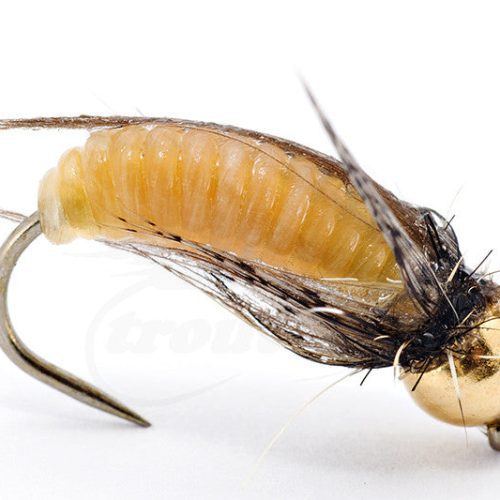 catgut caddis pupa for trout fishing 1 f950654f 4a39 4958 9f66 9f6112798d2f